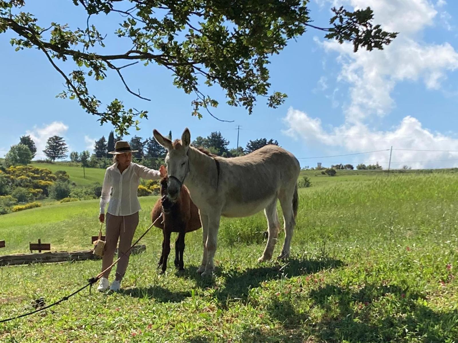 Agriturismo Selvella Radicofani Kültér fotó