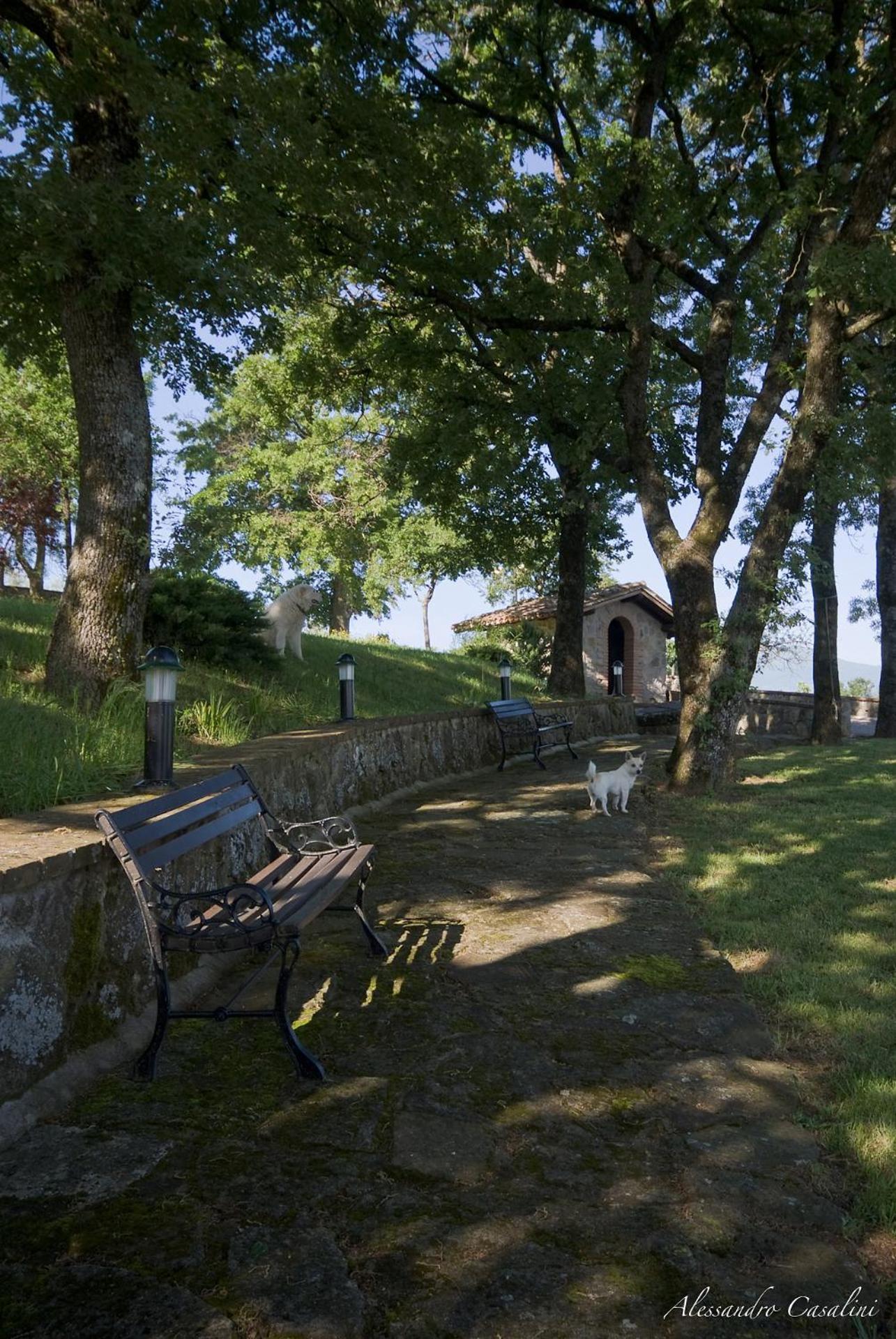 Agriturismo Selvella Radicofani Kültér fotó