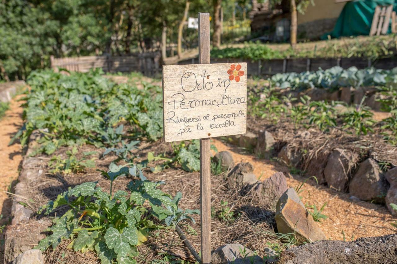 Agriturismo Selvella Radicofani Kültér fotó